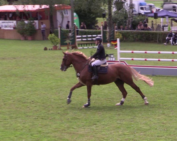 Reitturnier Etingen 2024