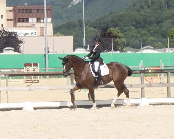 Reitturnier Balsthal 2024