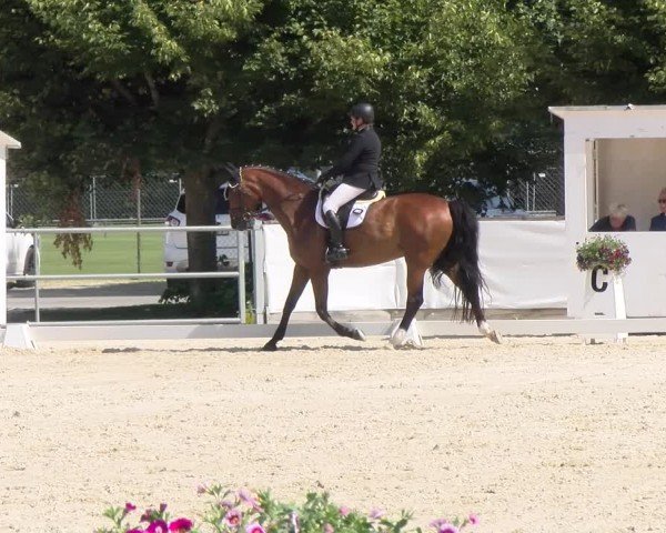 Reitturnier Balsthal 2024