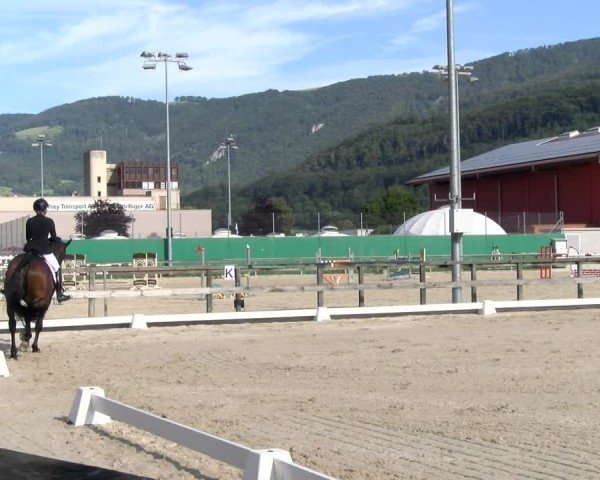 Equestrian Show Balsthal 2024