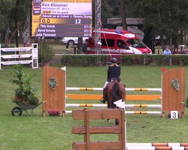 Reitturnier Etingen 2024