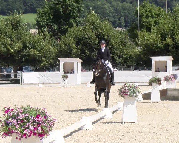 Reitturnier Balsthal 2024