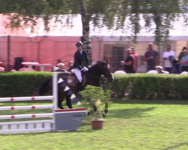Reitturnier Etingen 2024