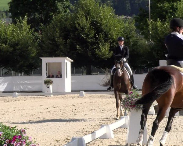 Reitturnier Balsthal 2024