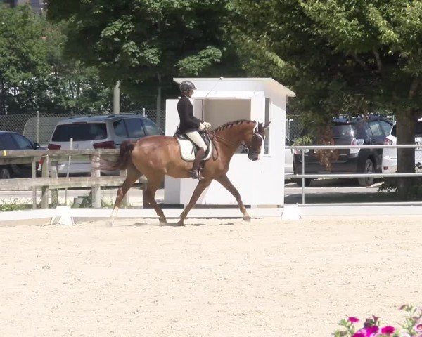Reitturnier Balsthal 2024