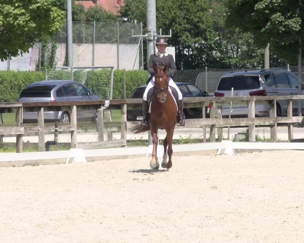Reitturnier Balsthal 2024