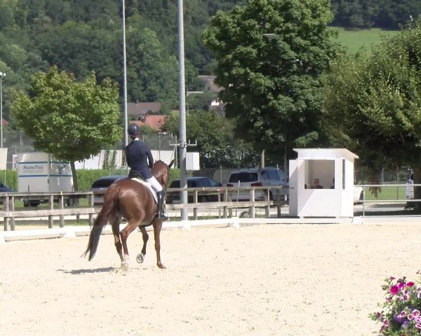 Reitturnier Balsthal 2024
