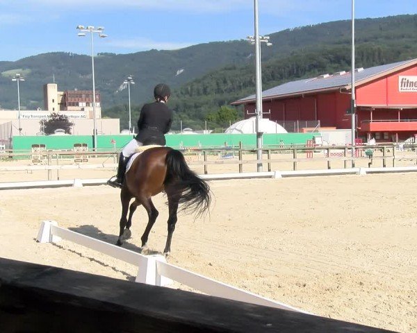 Reitturnier Balsthal 2024