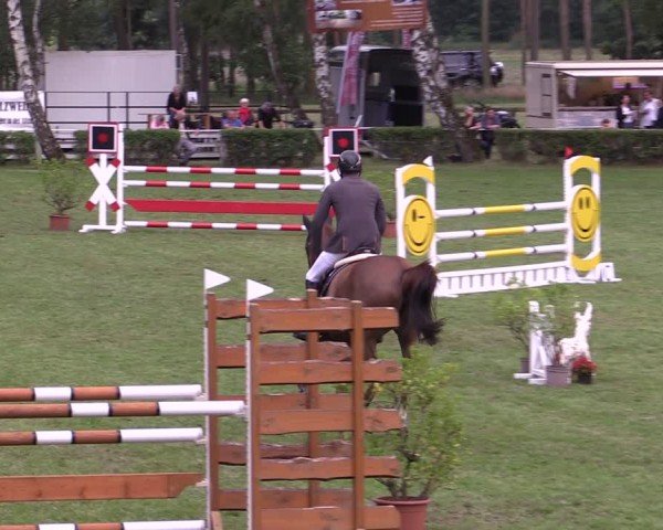 Reitturnier Etingen 2024