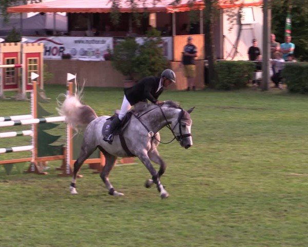Reitturnier Etingen 2024