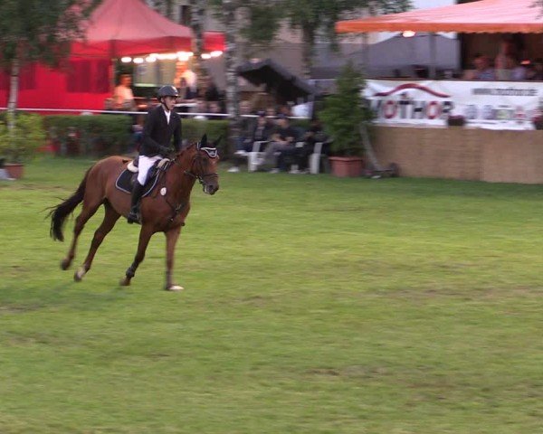 Reitturnier Etingen 2024