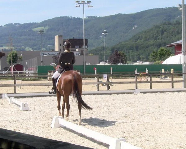 Reitturnier Balsthal 2024