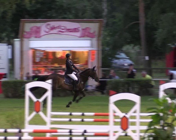 Reitturnier Etingen 2024