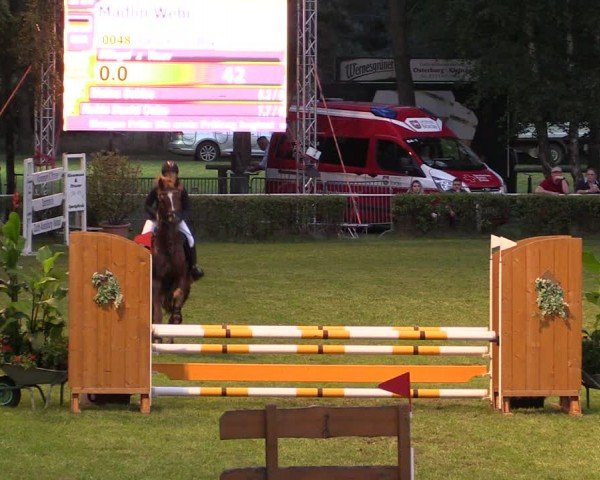 Reitturnier Etingen 2024