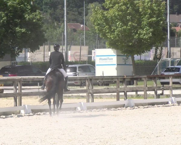 Reitturnier Balsthal 2024