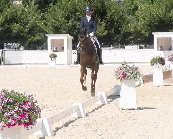 Reitturnier Balsthal 2024