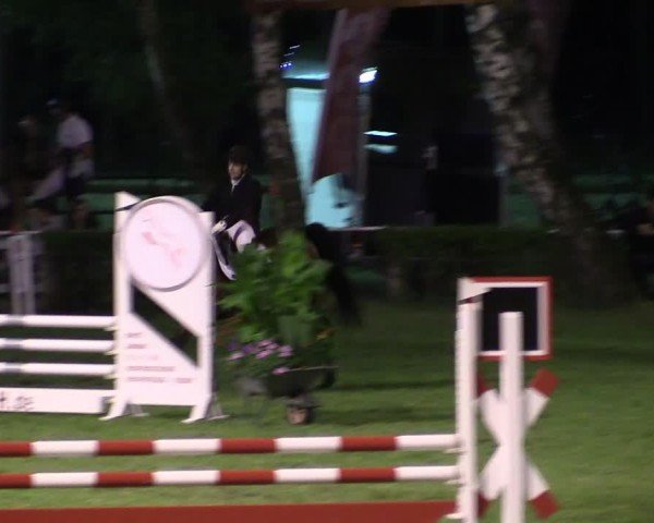 Reitturnier Etingen 2024