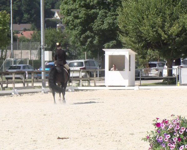 Reitturnier Balsthal 2024