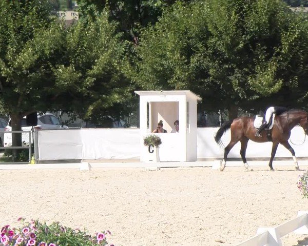 Reitturnier Balsthal 2024