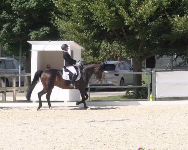 Reitturnier Balsthal 2024