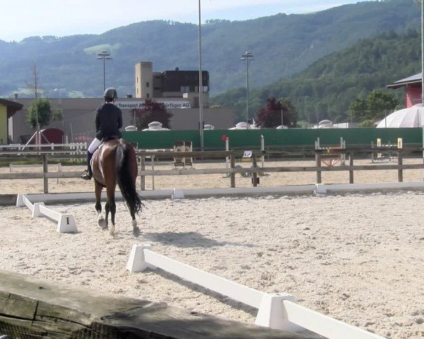 Reitturnier Balsthal 2024