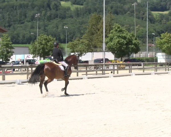 Reitturnier Balsthal 2024