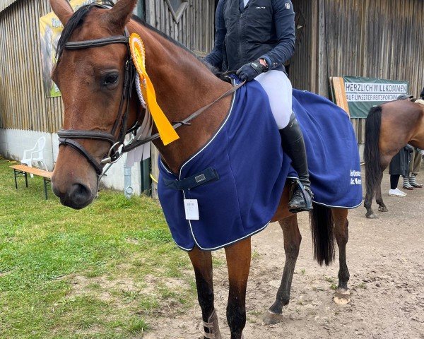 jumper Magic Mia Hf (Holsteiner, 2019, from Cornetino 231 FIN)