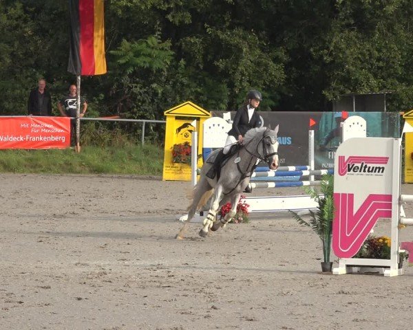 Reitturnier Bad Wildungen 2024