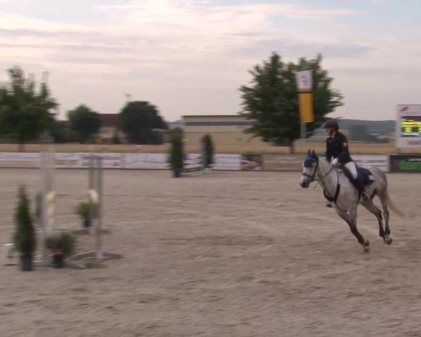 Reitturnier Rot am See Musdorf 2024