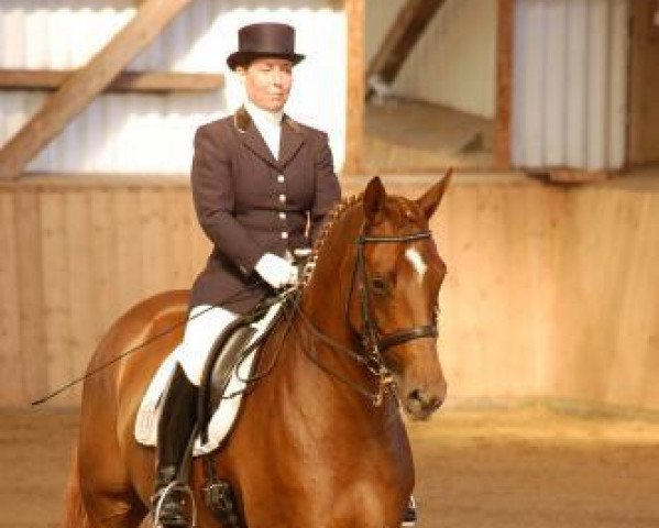 Dressurpferd Better next time 2 (Trakehner, 2006, von Lauries Crusador xx)