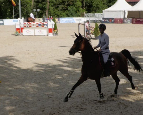 Reitturnier Karlsfeld/Obb. 2024