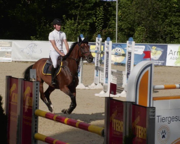 Reitturnier Karlsfeld/Obb. 2024