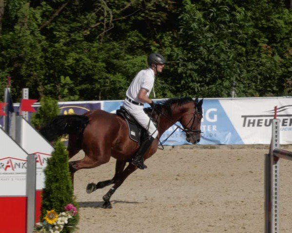 Reitturnier Karlsfeld/Obb. 2024