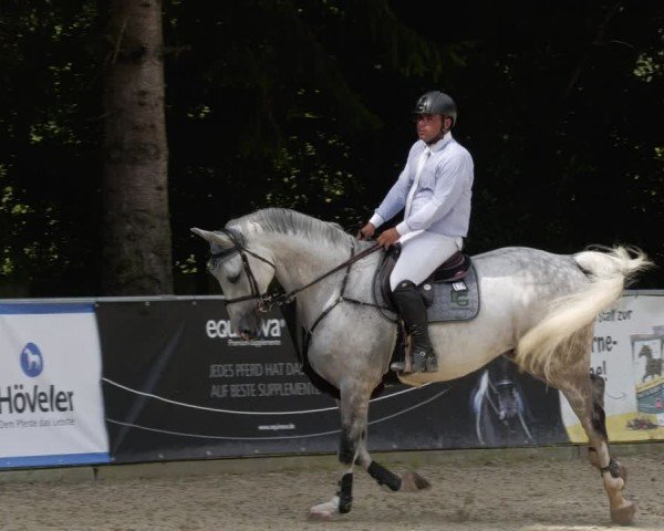 Reitturnier Karlsfeld/Obb. 2024
