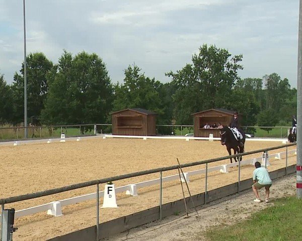 Reitturnier Altentrüdingen/Mfr. 2024