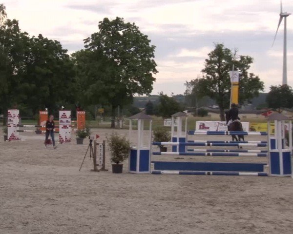 Reitturnier Rot am See Musdorf 2024