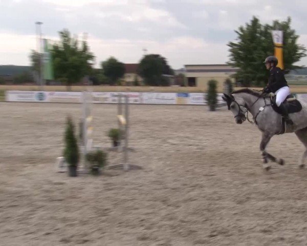 Reitturnier Rot am See Musdorf 2024