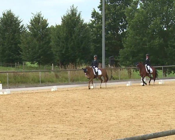Reitturnier Altentrüdingen/Mfr. 2024