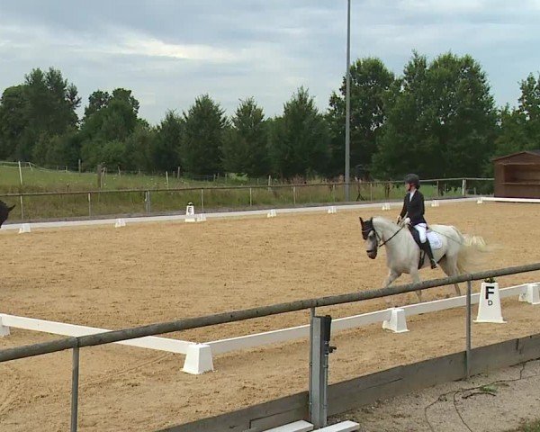 Reitturnier Altentrüdingen/Mfr. 2024