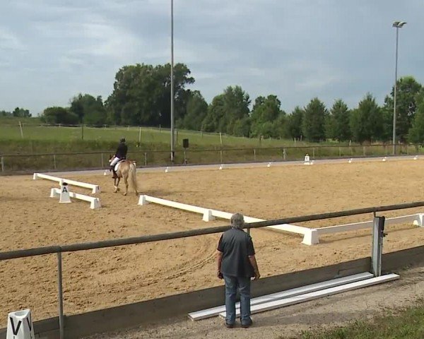 Reitturnier Altentrüdingen/Mfr. 2024