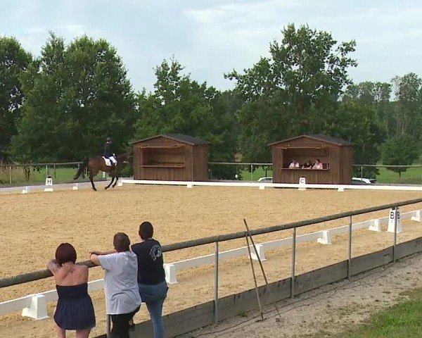 Reitturnier Altentrüdingen/Mfr. 2024