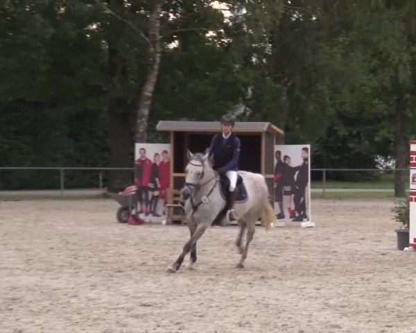 Reitturnier Rot am See Musdorf 2024