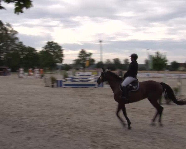 Reitturnier Rot am See Musdorf 2024