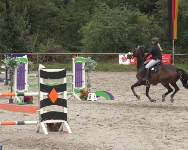 Reitturnier Bad Wildungen 2024