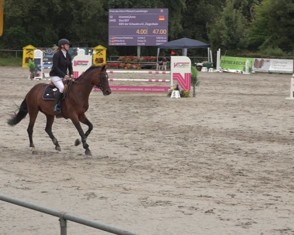 Reitturnier Bad Wildungen 2024