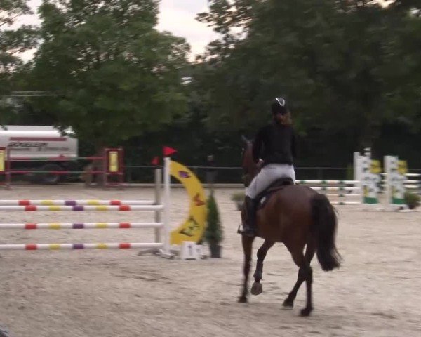 Reitturnier Rot am See Musdorf 2024
