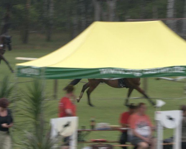 Reitturnier Gallinchen 2024