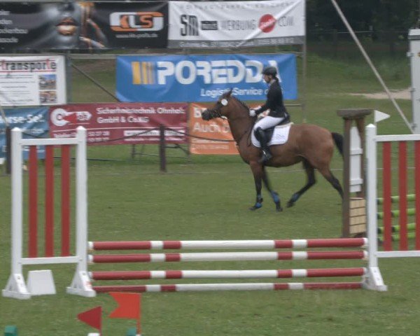 Reitturnier Gallinchen 2024