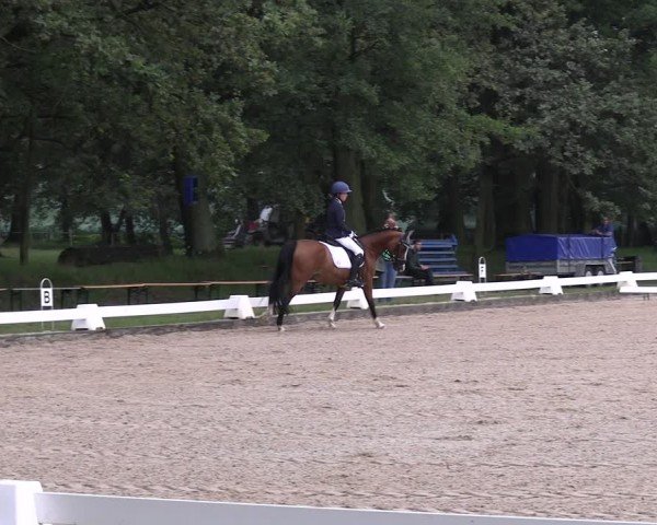 Reitturnier Gallinchen 2024