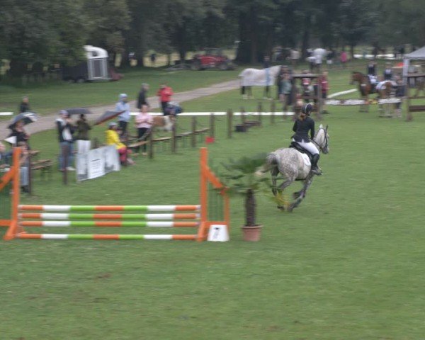 Reitturnier Gallinchen 2024